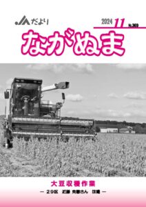 2024年11月
