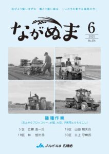 2025年6月